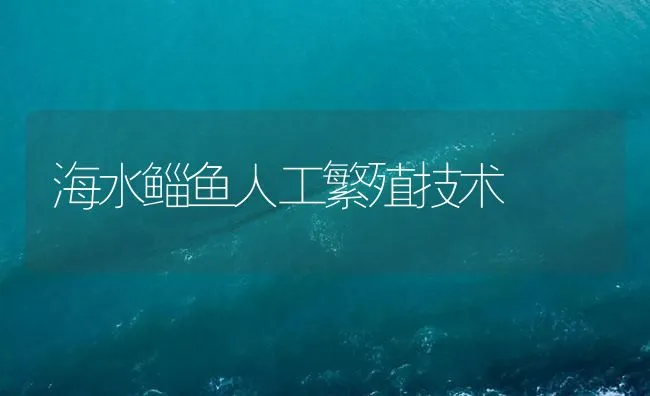 海水鲻鱼人工繁殖技术 | 海水养殖技术