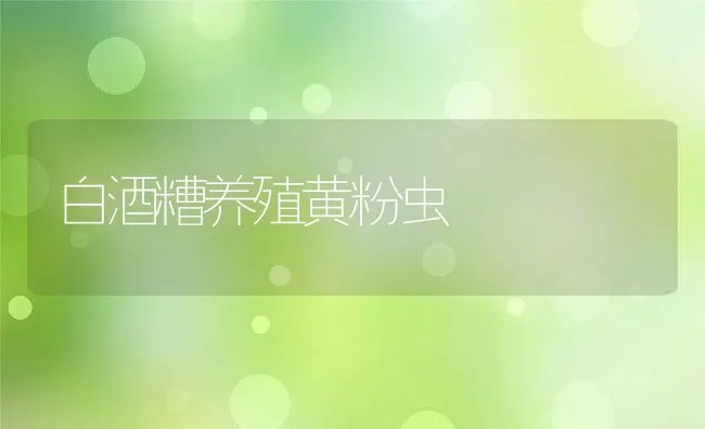 白酒糟养殖黄粉虫 | 水产养殖知识