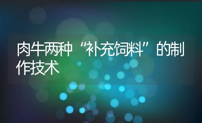 肉牛两种“补充饲料”的制作技术 | 动物养殖饲料