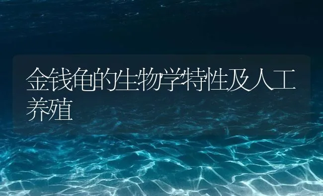 金钱龟的生物学特性及人工养殖 | 海水养殖技术