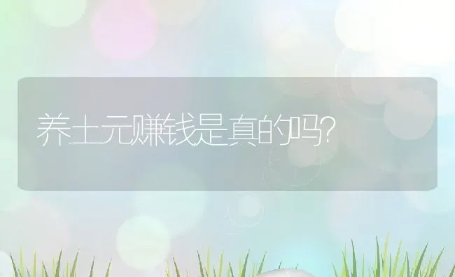 养土元赚钱是真的吗？ | 动物养殖百科