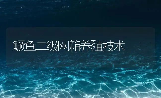 鳜鱼二级网箱养殖技术 | 海水养殖技术