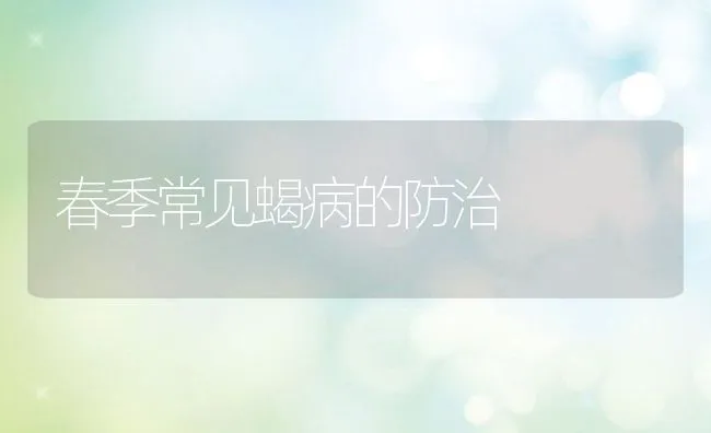 春季常见蝎病的防治 | 水产养殖知识