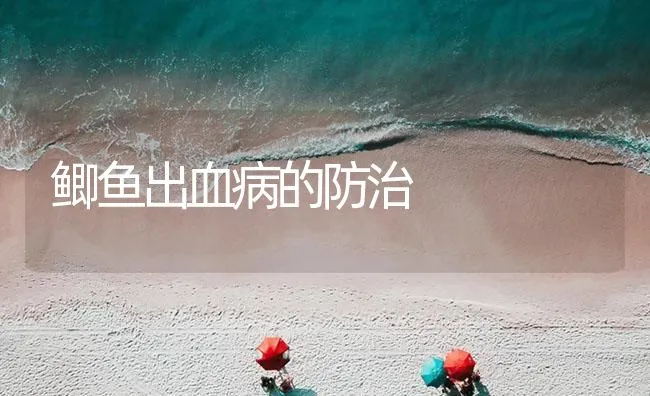 鲫鱼出血病的防治 | 海水养殖技术