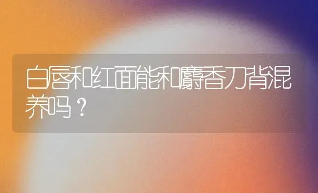 辨别一下狗狗得的是细小还是肠胃炎？ | 动物养殖问答