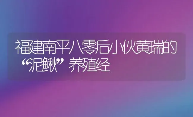 福建南平八零后小伙黄瑞的“泥鳅”养殖经 | 动物养殖教程