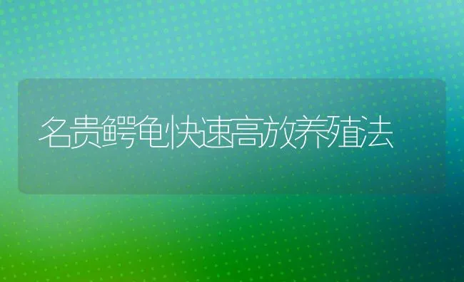 名贵鳄龟快速高放养殖法 | 动物养殖饲料