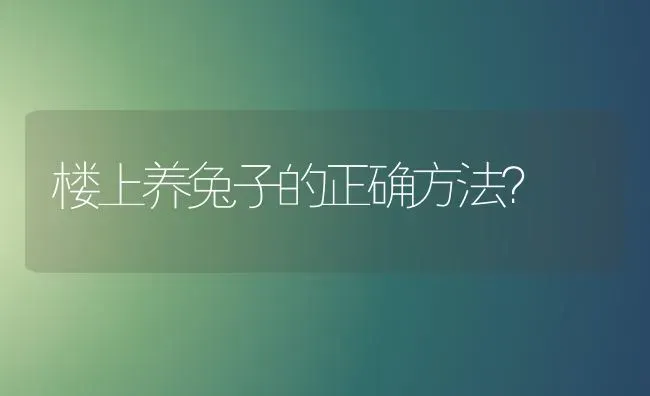 楼上养兔子的正确方法？ | 动物养殖问答