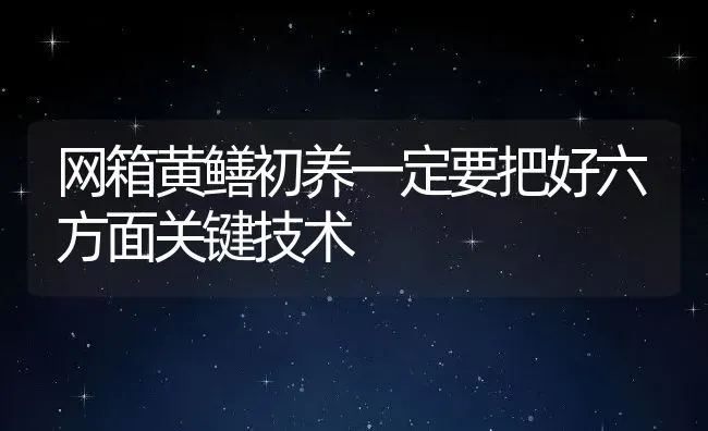 网箱黄鳝初养一定要把好六方面关键技术 | 动物养殖教程