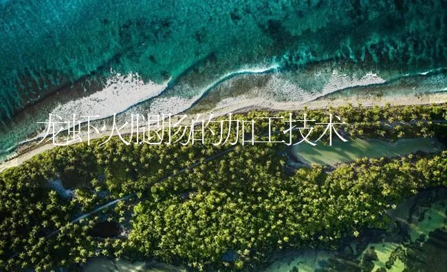 龙虾火腿肠的加工技术 | 海水养殖技术