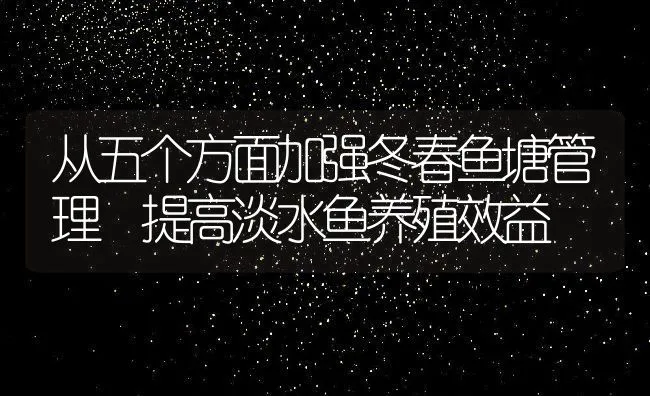 从五个方面加强冬春鱼塘管理 提高淡水鱼养殖效益 | 动物养殖饲料