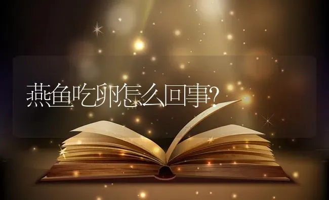 燕鱼吃卵怎么回事？ | 鱼类宠物饲养