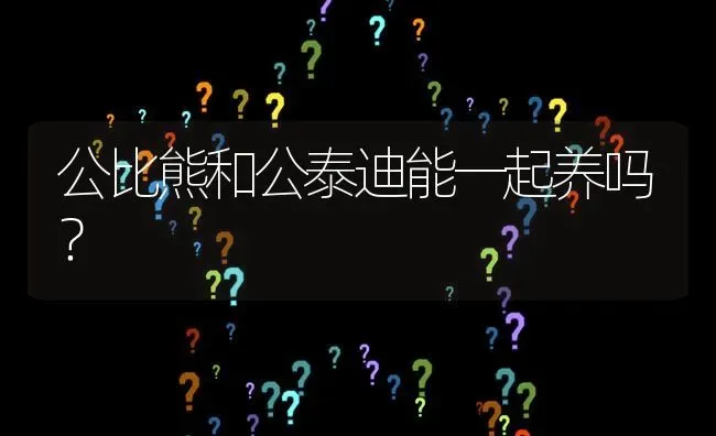 公比熊和公泰迪能一起养吗？ | 动物养殖问答