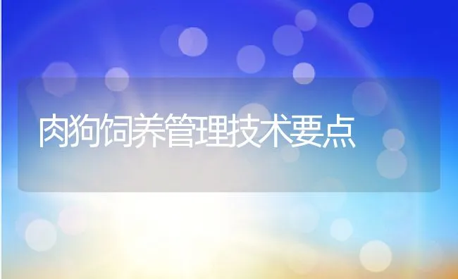 肉狗饲养管理技术要点 | 水产养殖知识