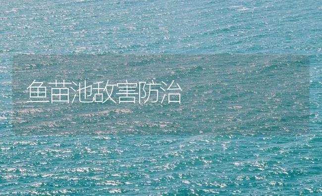 鱼苗池敌害防治 | 海水养殖技术