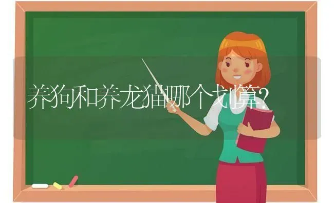 小比熊五个月的标准体重是多少？ | 动物养殖问答