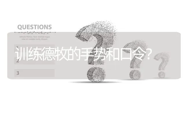 训练德牧的手势和口令？ | 动物养殖问答