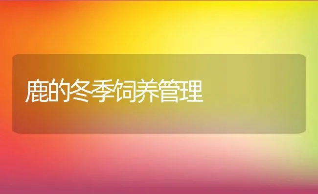 鹿的冬季饲养管理 | 动物养殖学堂