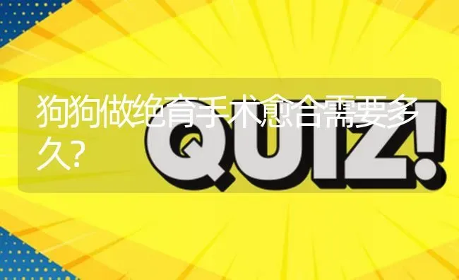 狗狗做绝育手术愈合需要多久？ | 动物养殖问答