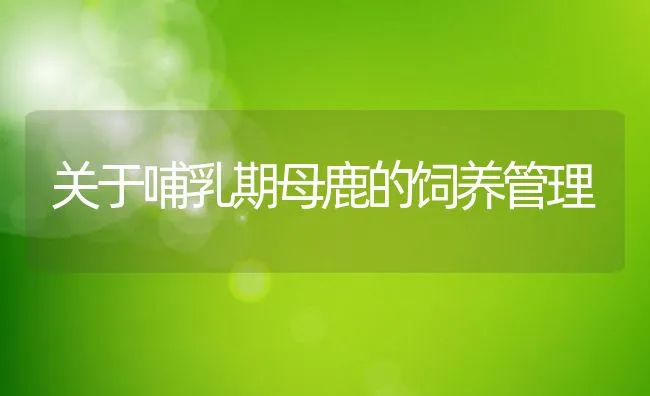 关于哺乳期母鹿的饲养管理 | 水产养殖知识