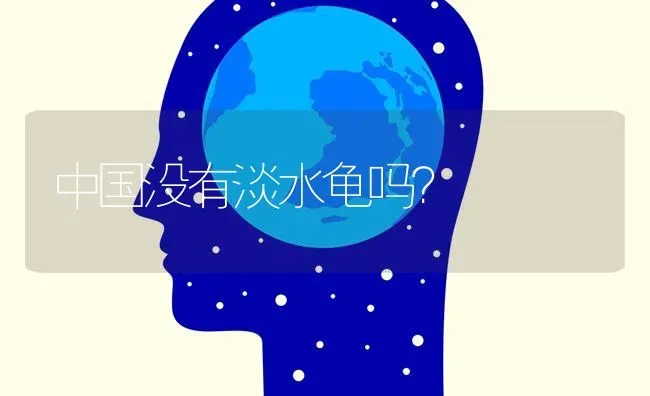 中国没有淡水龟吗？ | 动物养殖问答