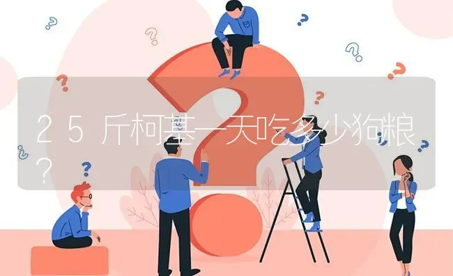 25斤柯基一天吃多少狗粮？ | 动物养殖问答