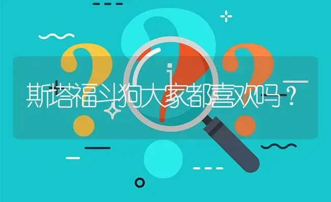 斯塔福斗狗大家都喜欢吗？ | 动物养殖问答