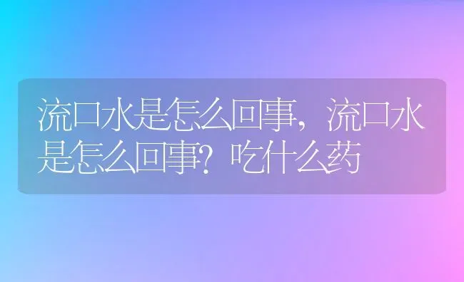 流口水是怎么回事,流口水是怎么回事?吃什么药 | 宠物百科知识