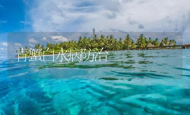 青蟹白水病防治 | 海水养殖技术