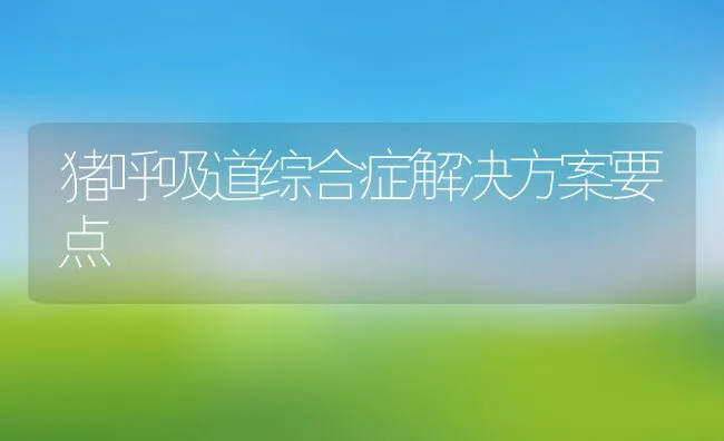 猪呼吸道综合症解决方案要点 | 动物养殖学堂