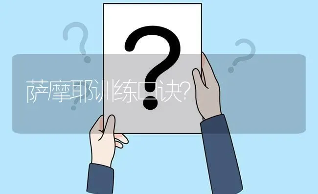 萨摩耶训练口诀？ | 动物养殖问答