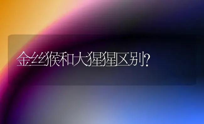 黑背有多少种？ | 动物养殖问答