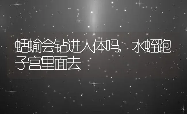 蛞蝓会钻进人体吗,水蛭跑子宫里面去 | 宠物百科知识