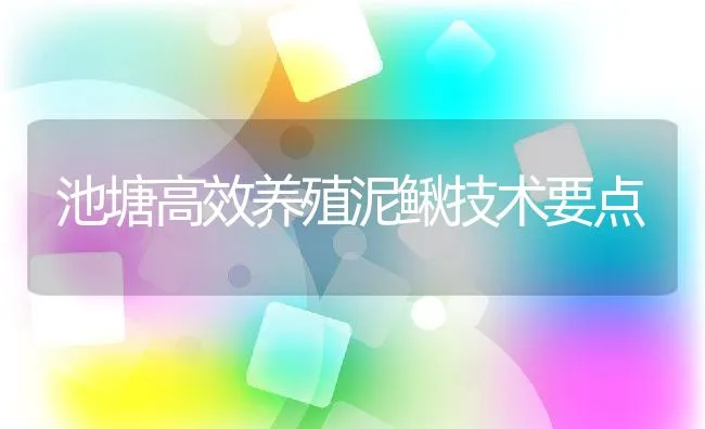 池塘高效养殖泥鳅技术要点 | 水产养殖知识