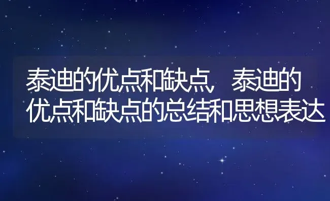 泰迪的优点和缺点,泰迪的优点和缺点的总结和思想表达 | 宠物百科知识