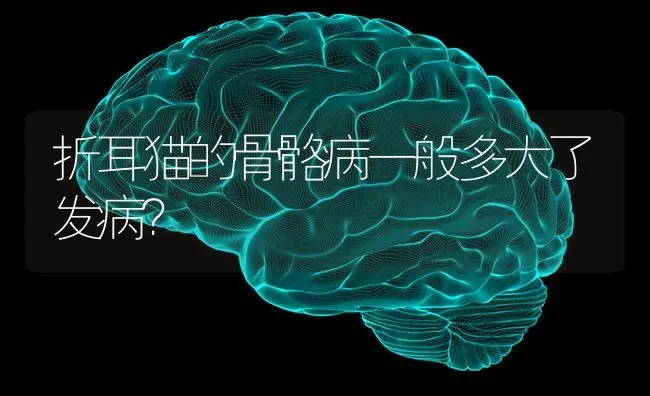 折耳猫的骨骼病一般多大了发病？ | 动物养殖问答