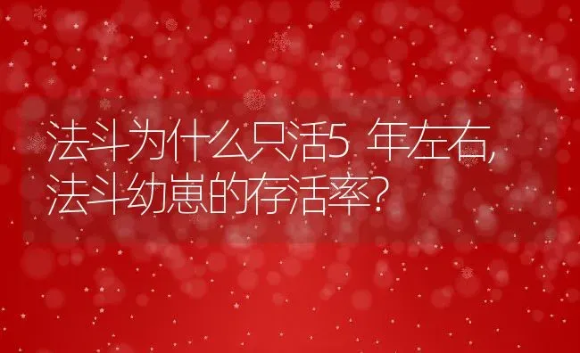 法斗为什么只活5年左右,法斗幼崽的存活率？ | 宠物百科知识