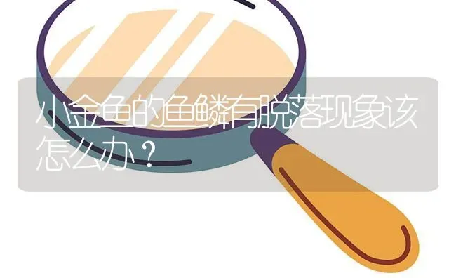 小金鱼的鱼鳞有脱落现象该怎么办？ | 鱼类宠物饲养