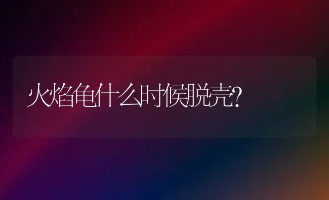 火焰龟什么时候脱壳？ | 动物养殖问答