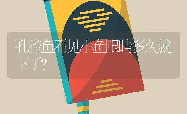 孔雀鱼看见小鱼眼睛多久就下了？ | 鱼类宠物饲养