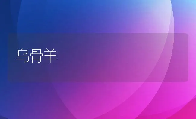 抓好黄鳝秋管确保来年增产 | 动物养殖学堂