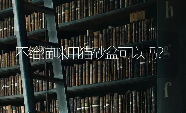 中华田园犬资料？ | 动物养殖问答