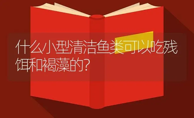 什么小型清洁鱼类可以吃残饵和褐藻的？ | 鱼类宠物饲养