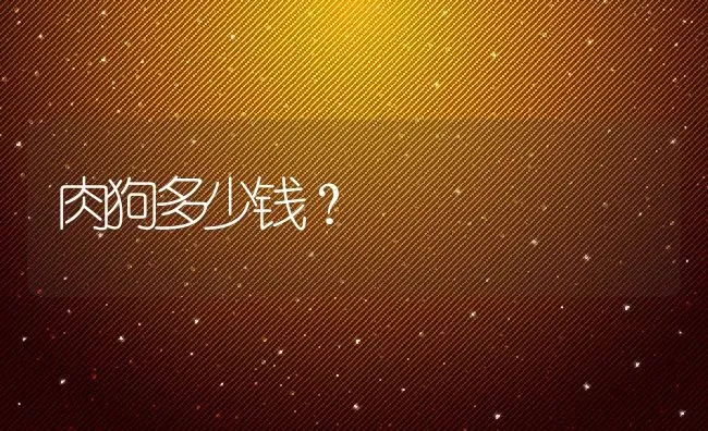 肉狗多少钱？ | 动物养殖百科