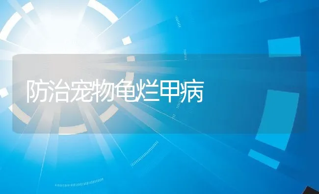 脱粒机保养注意啥 | 水产养殖知识