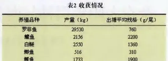 新吉富罗非鱼健康养殖模式试验