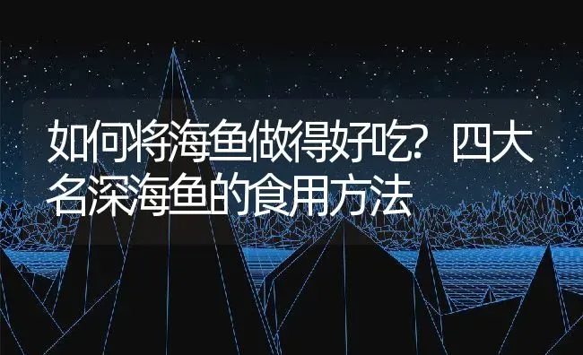 如何将海鱼做得好吃?四大名深海鱼的食用方法 | 动物养殖百科