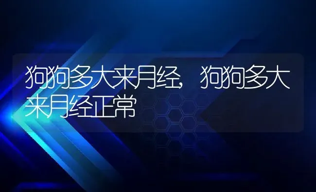 狗狗多大来月经,狗狗多大来月经正常 | 宠物百科知识