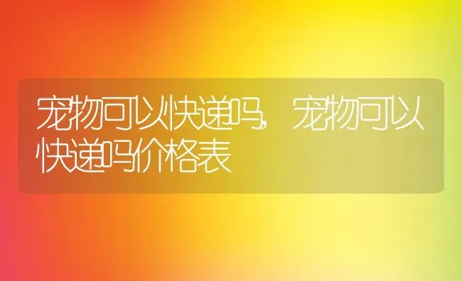 宠物可以快递吗,宠物可以快递吗价格表 | 宠物百科知识