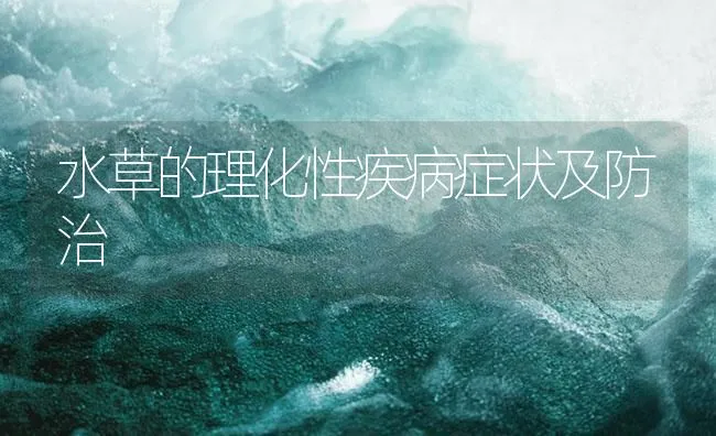 水草的理化性疾病症状及防治 | 海水养殖技术